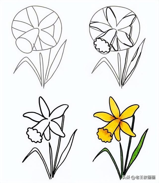 花卉的简笔画教程（花卉的简笔画教程）(4)