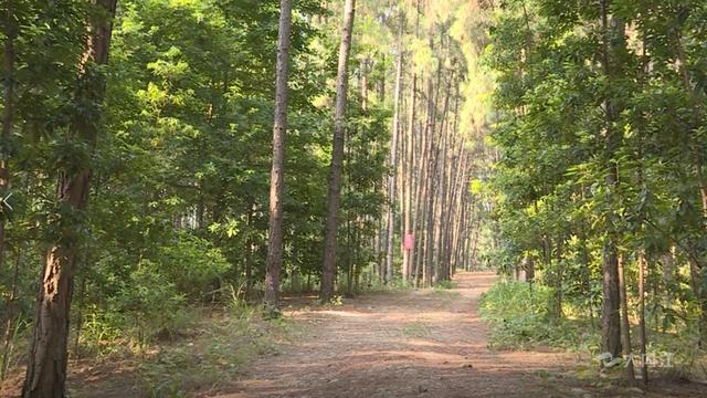 内江避暑纳凉景点有哪些（玩转内江亲近自然）(3)