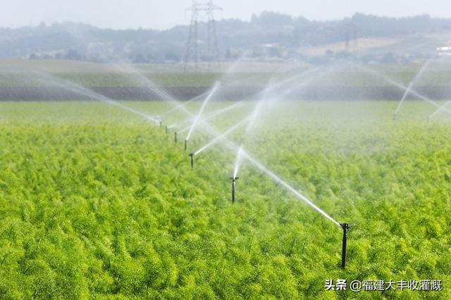 微喷头的种类及使用：微喷头运用广泛达到水资源(3)