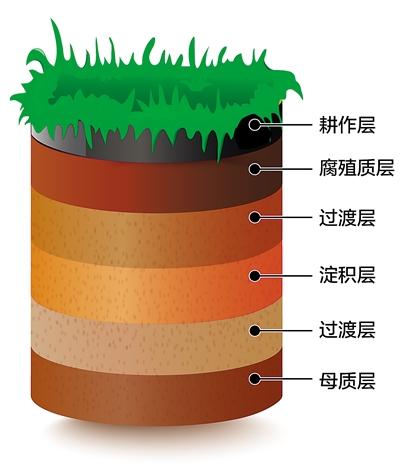 黑土地之所以黑的原因 黑土地为什么是黑色的(1)