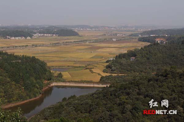 湘潭美丽乡村（美丽乡村发现之旅）(4)