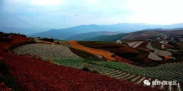 怎样去看云南罗平油菜花（云南东川红土地）(9)