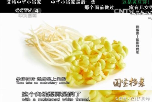 美食做法家常菜家庭版炒鸡（在家也能做宫廷菜）(13)