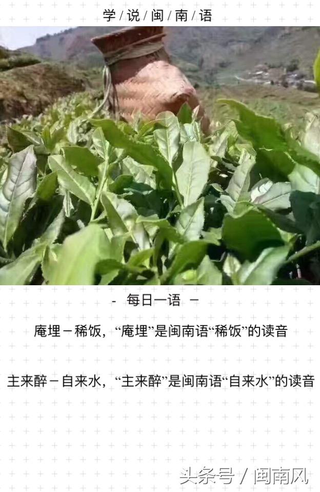 闽南话 常用语（闽南话SoEasy轻松学会闽南话）(4)