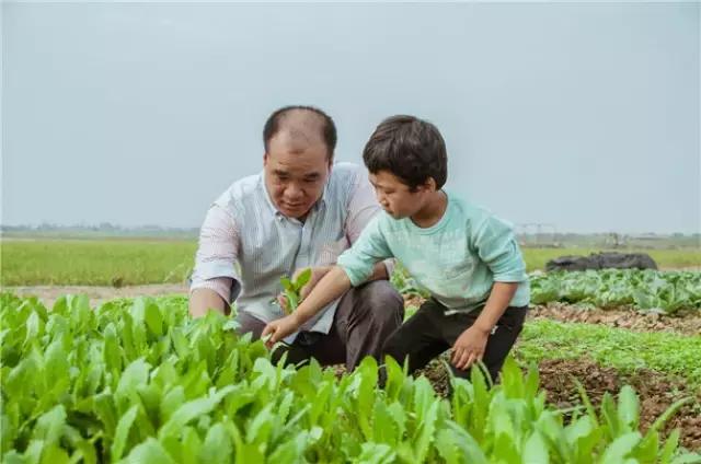 农场养鸡养鸭游戏攻略（这个农场真好玩）(20)