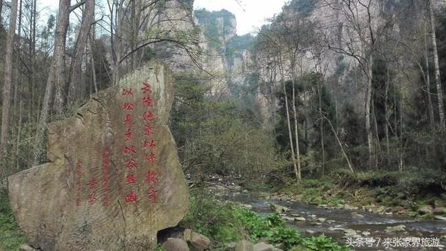 张家界大峡谷只玩玻璃桥路线（张家界森林公园）(52)