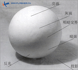 初学素描画画入门零基础（零起步教你怎样学画画）(8)