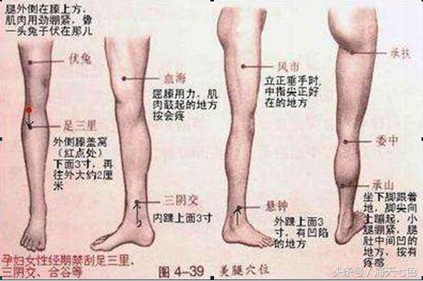 各种疾病最全艾灸穴位表（人体重要的32个艾灸穴位）(6)