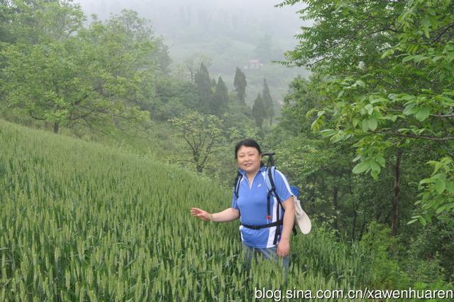 至相寺简介（至相寺中与大顺谈禅）(11)