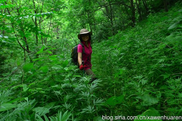 九鼎万华山门票（穿越九顶万华山）(4)