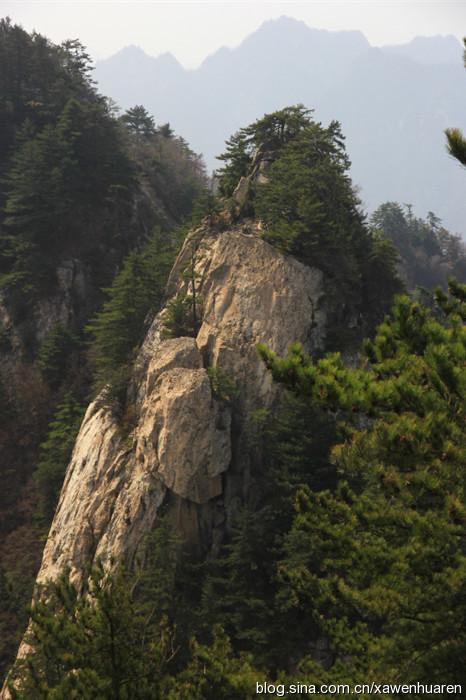 九鼎万华山门票（穿越九顶万华山）(14)