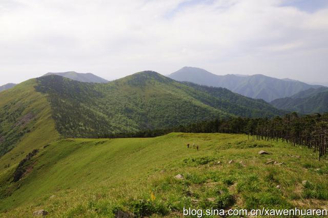 行走在秦岭的路上（行走在秦岭大梁上）(22)