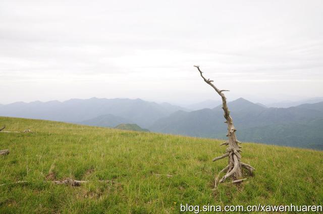 行走在秦岭的路上（行走在秦岭大梁上）(59)