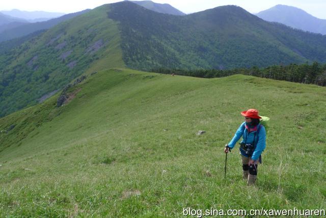 行走在秦岭的路上（行走在秦岭大梁上）(80)