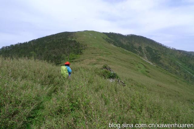 行走在秦岭的路上（行走在秦岭大梁上）(74)