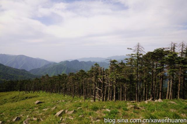 行走在秦岭的路上（行走在秦岭大梁上）(21)