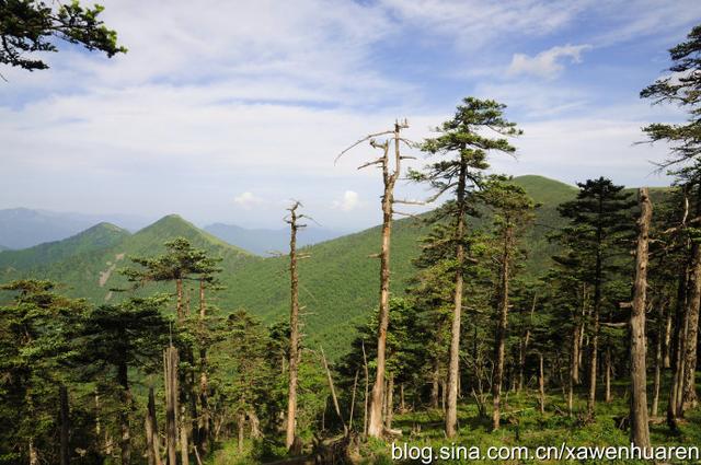 行走在秦岭的路上（行走在秦岭大梁上）(24)