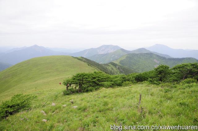 行走在秦岭的路上（行走在秦岭大梁上）(34)