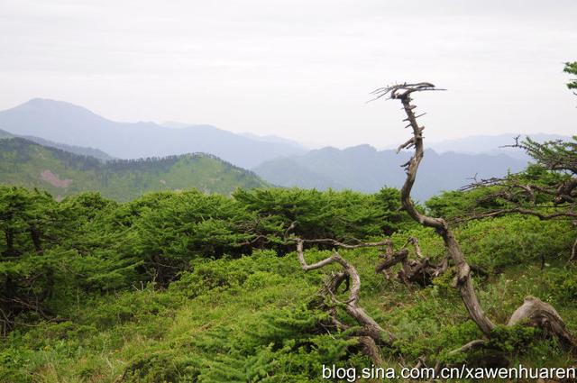 行走在秦岭的路上（行走在秦岭大梁上）(35)