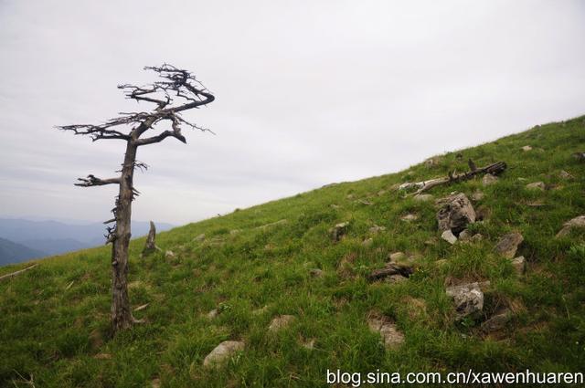 行走在秦岭的路上（行走在秦岭大梁上）(46)