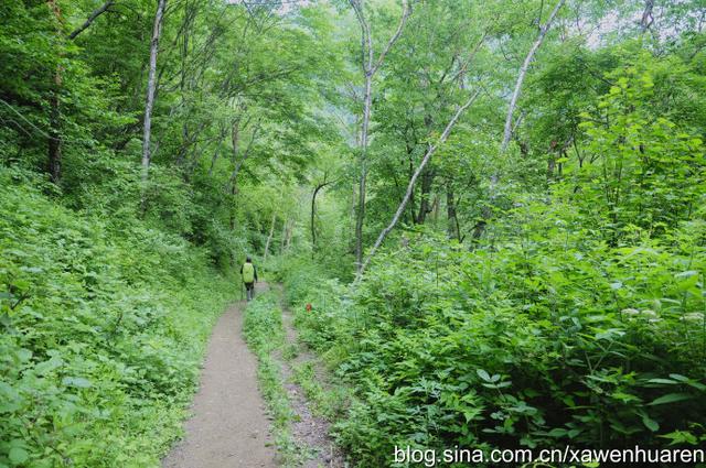 行走在秦岭的路上（行走在秦岭大梁上）(66)