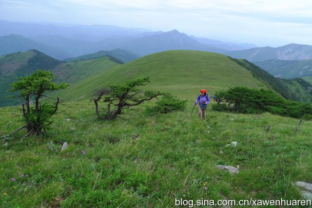 行走在秦岭的路上（行走在秦岭大梁上）(86)