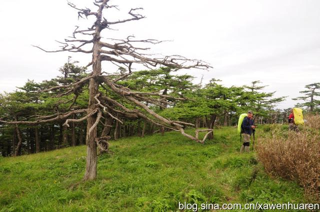 行走在秦岭的路上（行走在秦岭大梁上）(60)