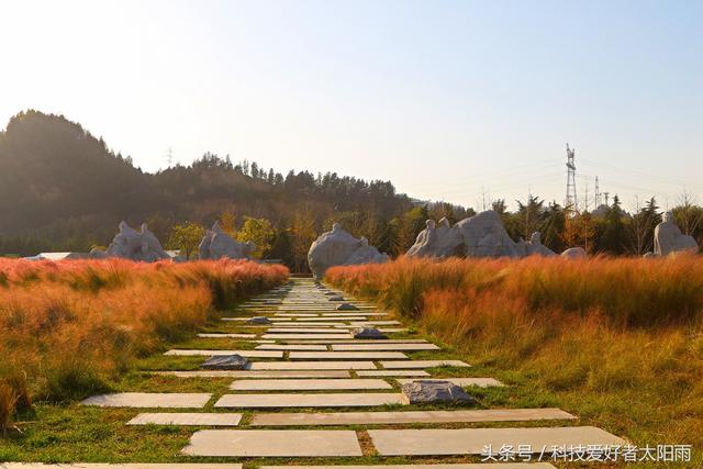 郑州黄河游览区景点雕像（郑州黄河风景区）(10)