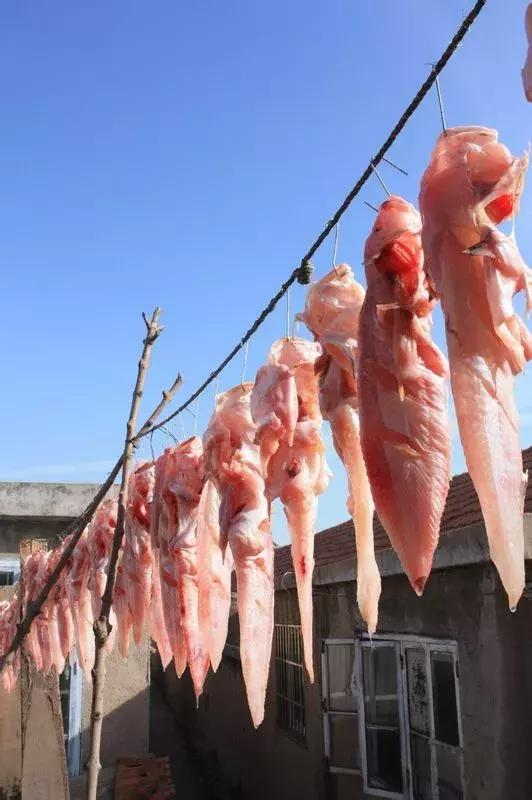 大连咸鱼饼子哪家最好吃（要来尝尝这道渔家菜-蒸咸鱼饼子）(5)