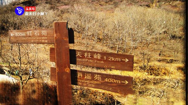 八里沟景区最刺激的 一个 景区（八里沟与关山景区之间的枣树沟）(7)