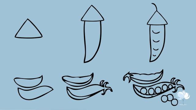 常见蔬菜简笔画大全最简单（来一波蔬菜简笔画）(4)