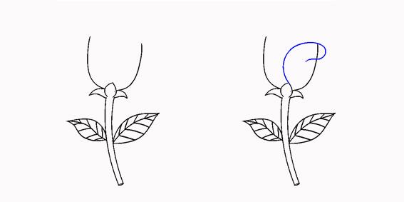 儿童玫瑰简笔画超简单（儿童简笔画玫瑰步骤教程）(8)