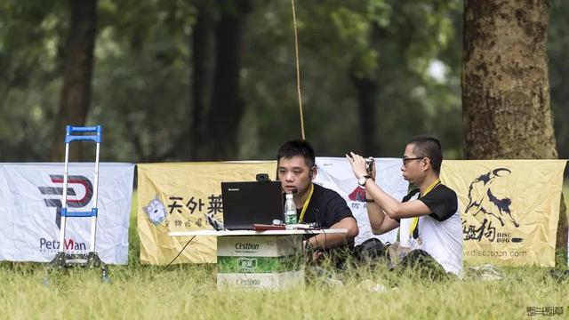 除了边牧还有哪些狗适合玩飞盘（赛事回顾帅到天都要下雨的飞盘狗大赛）(15)