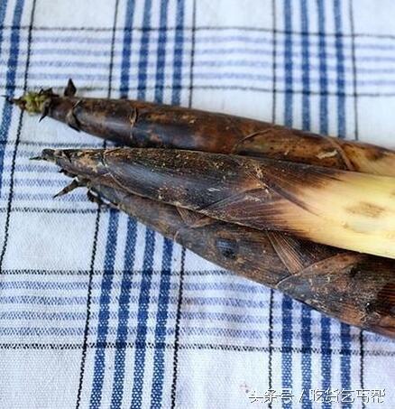 春笋炖蚕豆（她炒的春笋炒蚕豆鲜嫩）(6)