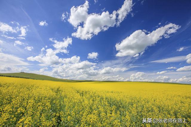 美丽的乌蒙大草原风光无限好（来乌兰察布看大草原）(3)