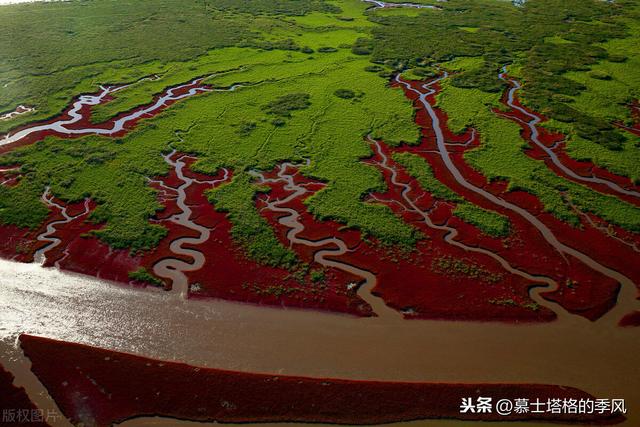 五月在大连看荧光海最佳时间（带你去看红海滩）(6)