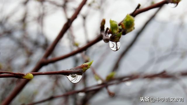 四年级语文每课一练第十九课（九年级语文复习）(2)