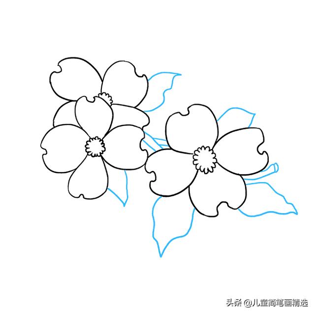 适合小孩子画的简笔画花（儿童简笔画精选-花朵的绘画步骤）(7)