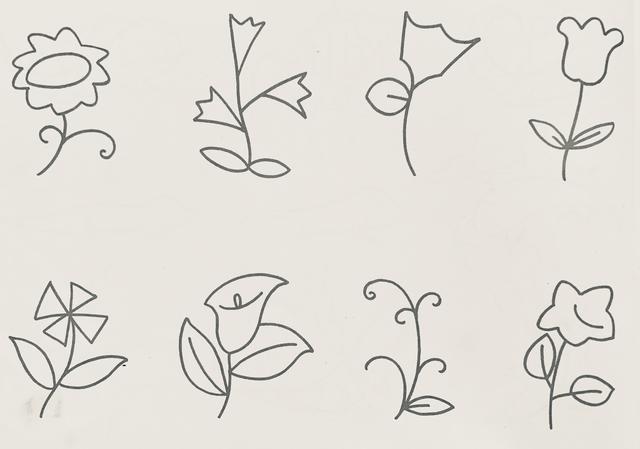 漂亮植物简笔画怎么画（花果植物简笔画）(7)
