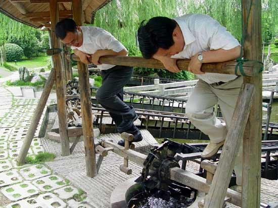 滕头村生态旅游景区是几级景区（走进生态旅游区滕头村）(16)