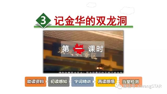 四年级下语文记金华双龙洞知识点（人教版四年级语文下册第一单元3.）(1)