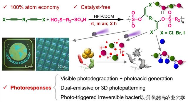 青岛农业大学李峰教授，青岛农业大学韩磊教授联合团队在JACS(1)