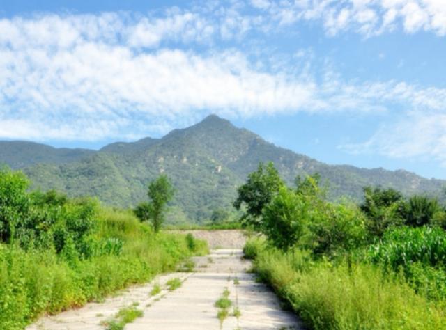 为什么要叫九龙山（为什么说九龙山的山形地貌是块风水宝地）(1)