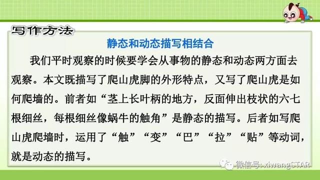 四年级语文上册爬山虎的脚知识点（部编版四年级语文上册第三单元10.爬山虎的脚知识点及练习）(54)