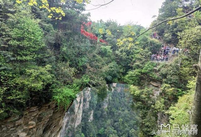 张家界凤凰古城4天3晚旅游攻略（闺蜜同行的张家界森林公园）(18)