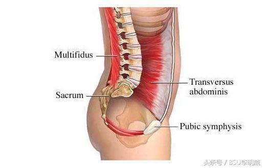 抱宝宝时间长了腰疼的厉害怎么办（抱小孩儿抱的腰痛）(2)