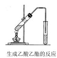 化学选修5知识点归纳总结（高考化学必修二第16讲）(5)