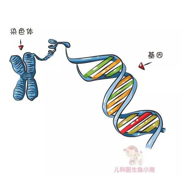 什么血型生什么血型的宝宝（生的宝宝什么血型）(6)