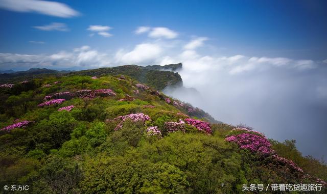 2023重庆旅游日免费景点（重庆勒些景区向市民免费开放）(3)