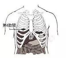 睡觉养生时间表（养生有道睡功治病良方就在睡觉前的几分钟）(10)